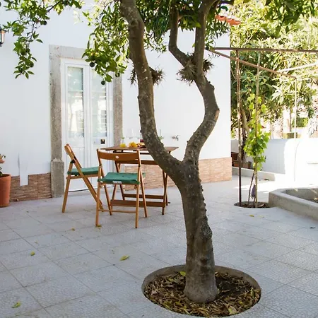 Casa Dos Avos Lejlighed *